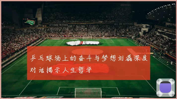 乒乓球场上的奋斗与梦想刘磊深度对话揭示人生哲学