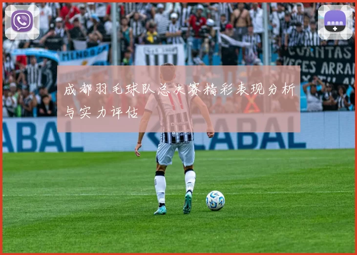 成都羽毛球队总决赛精彩表现分析与实力评估
