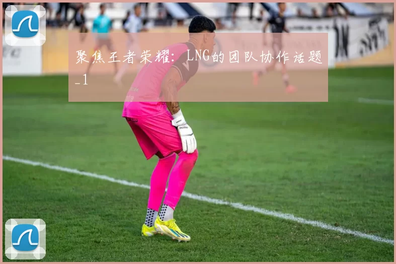 聚焦王者荣耀：LNG的团队协作话题_1